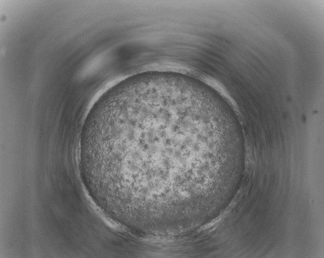 X0000080671040200612301355