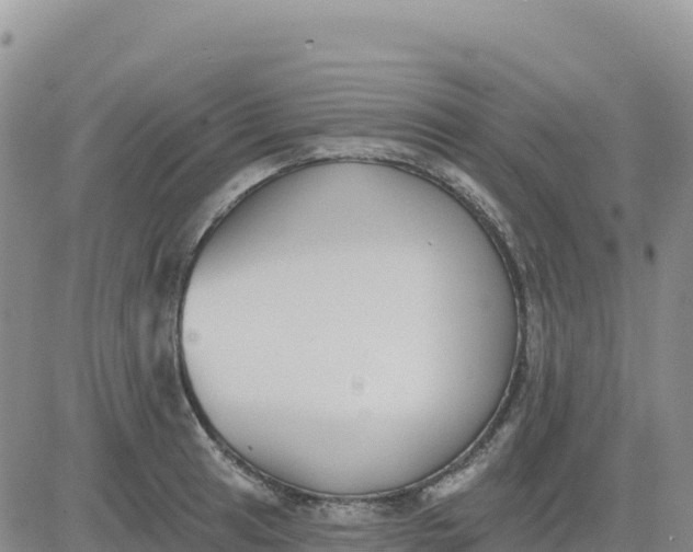 X0000080671041200612301355