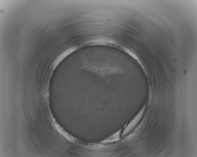 X0000080671042200612301355