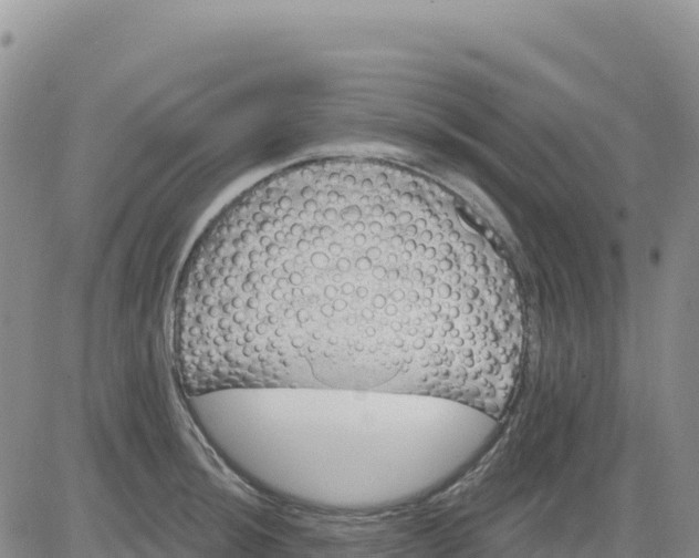 X0000080671044200612301355