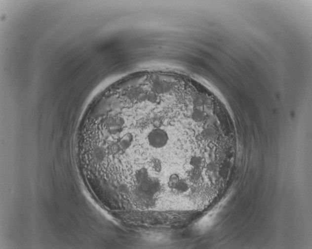 X0000080671045200612301355