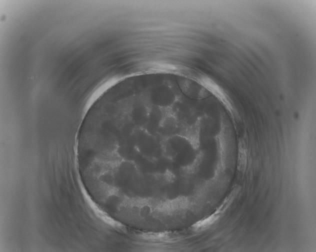 X0000080671047200612301355