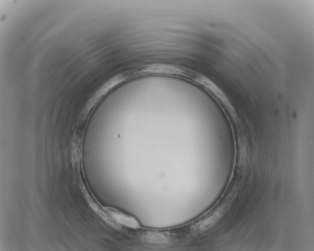 X0000080671049200612301355