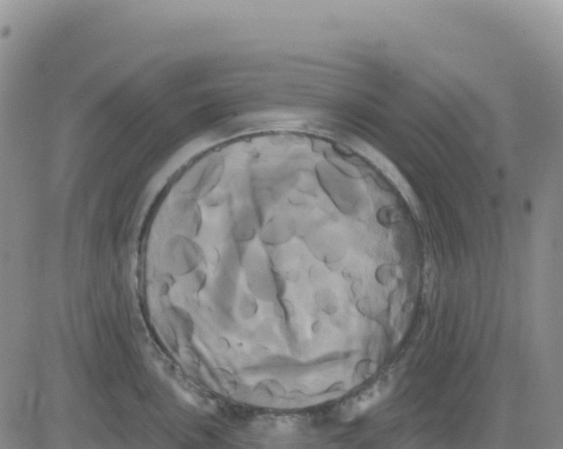 X0000080671051200612301355