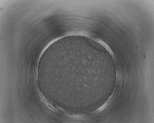 X0000080671052200612301355