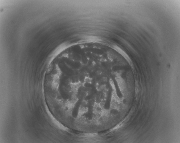 X0000080671055200612301355