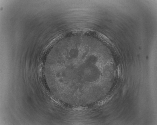 X0000080671059200612301354