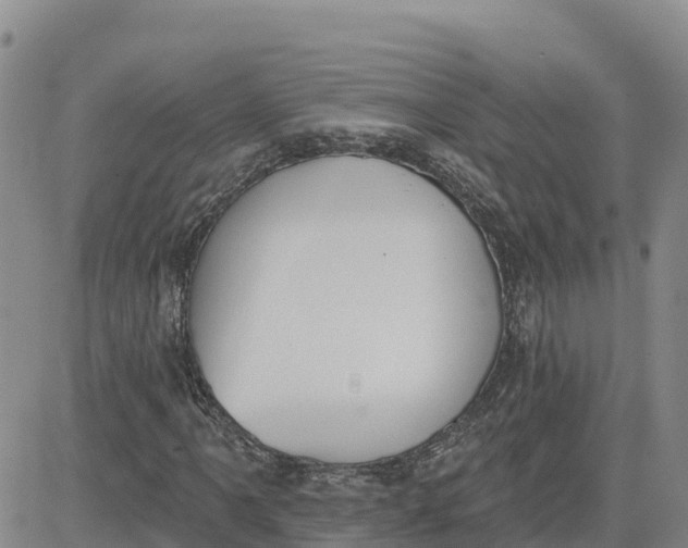 X0000080671061200612301354