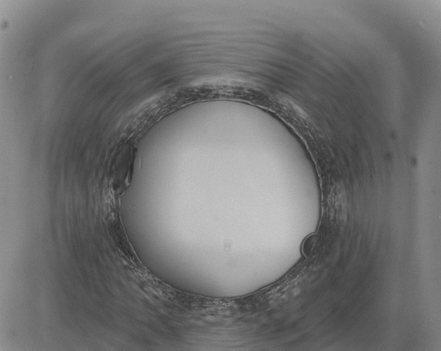 X0000080671062200612301354