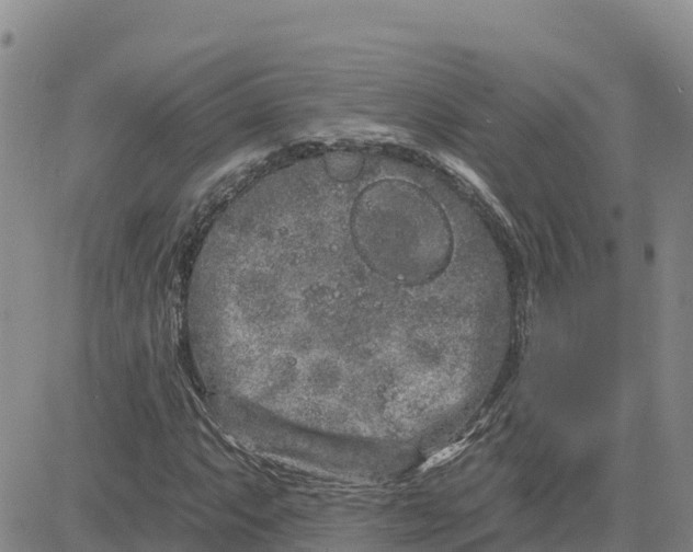 X0000080671063200612301354