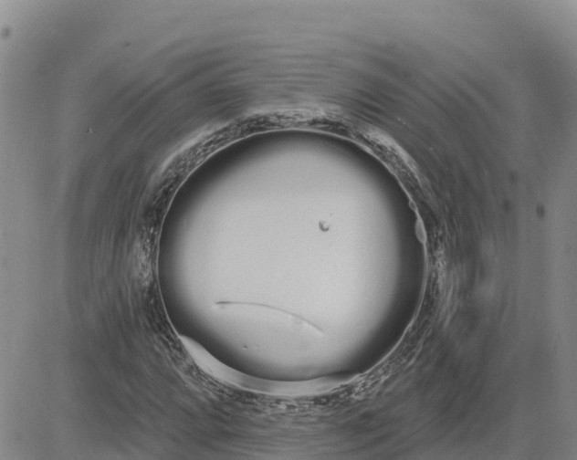 X0000080671064200612301354