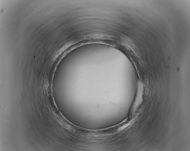 X0000080671065200612301354