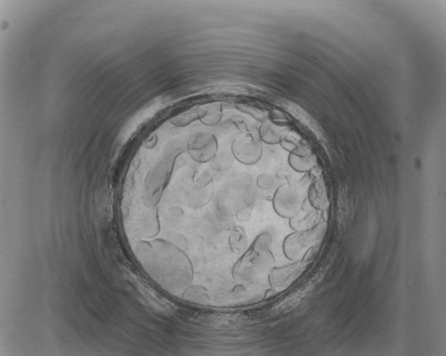 X0000080671067200612301354