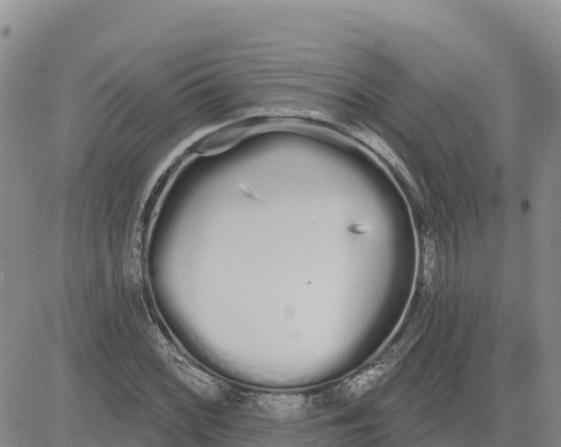 X0000080671068200612301354