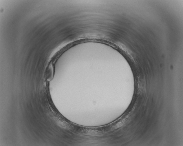 X0000080671070200612301354