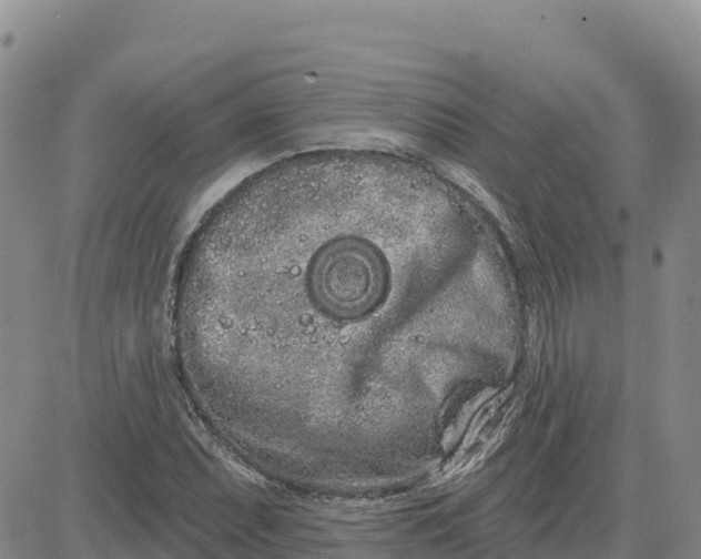 X0000080671071200612301354