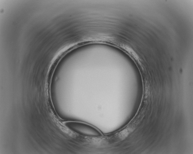 X0000080671072200612301354