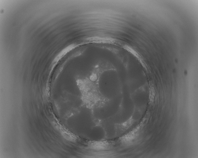 X0000080671074200612301354