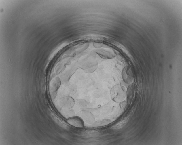 X0000080671075200612301354