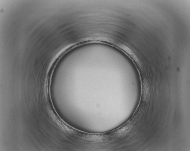 X0000080671076200612301354