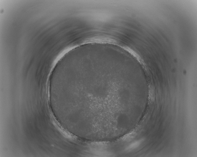 X0000080671078200612301354