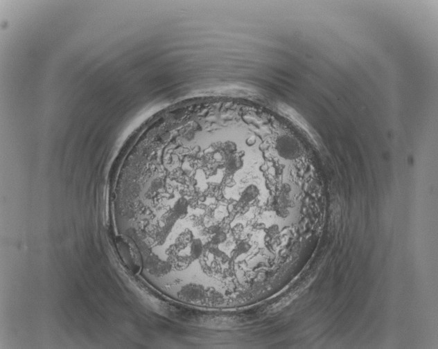 X0000080671079200612301354