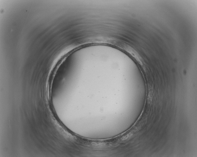 X0000080671080200612301354