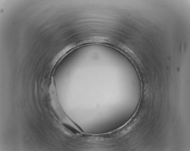 X0000080671081200612301354