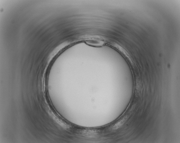 X0000080671082200612301354