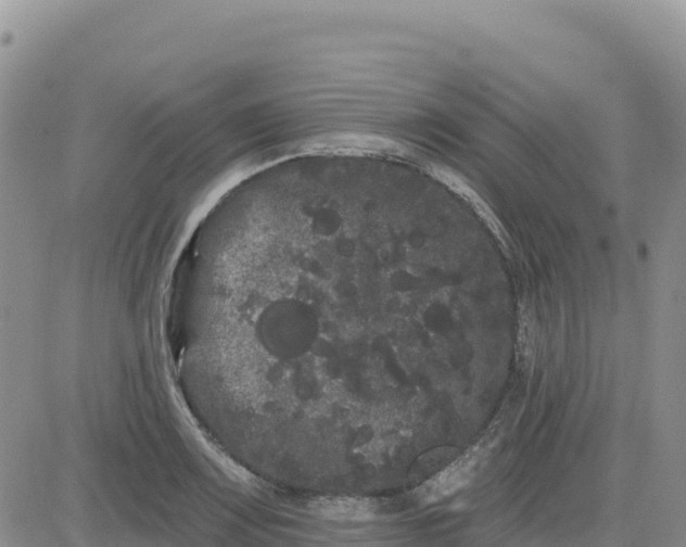 X0000080671083200612301354