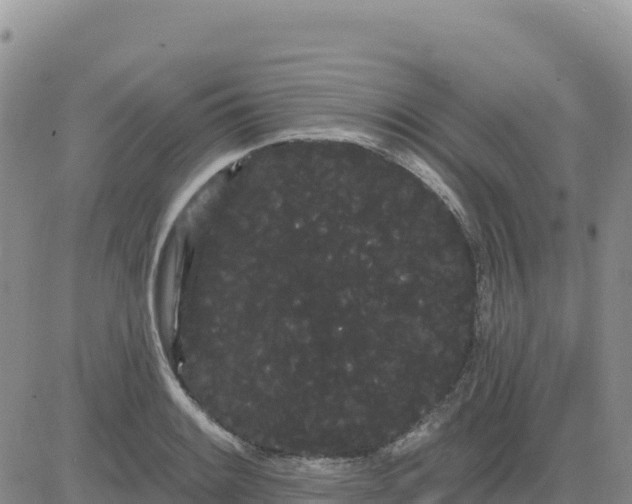 X0000080671084200612301354