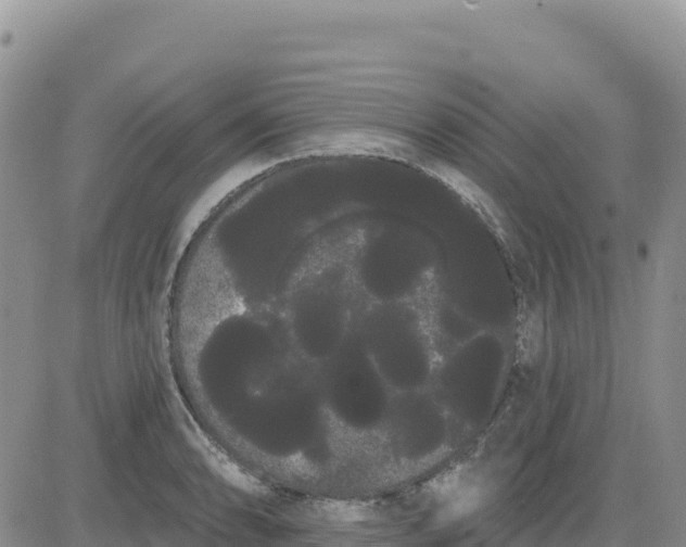 X0000080671086200612301354