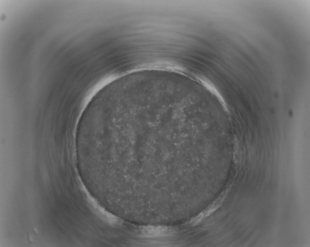 X0000080671087200612301354