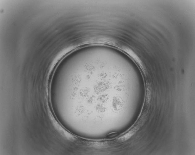 X0000080671088200612301354