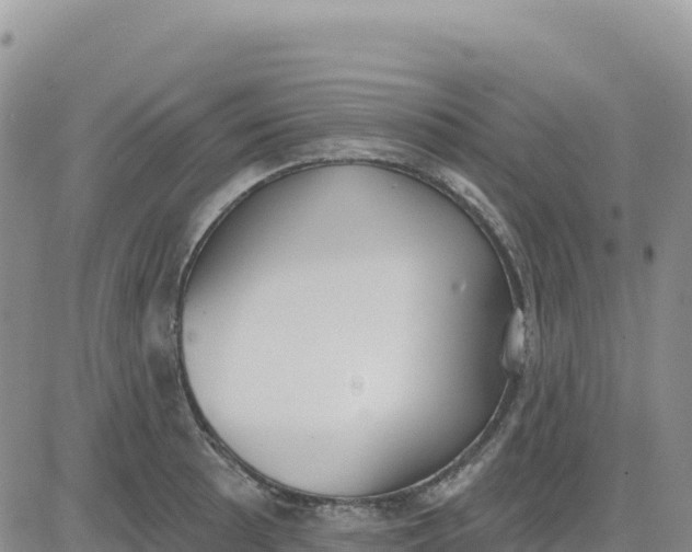 X0000080671089200612301354