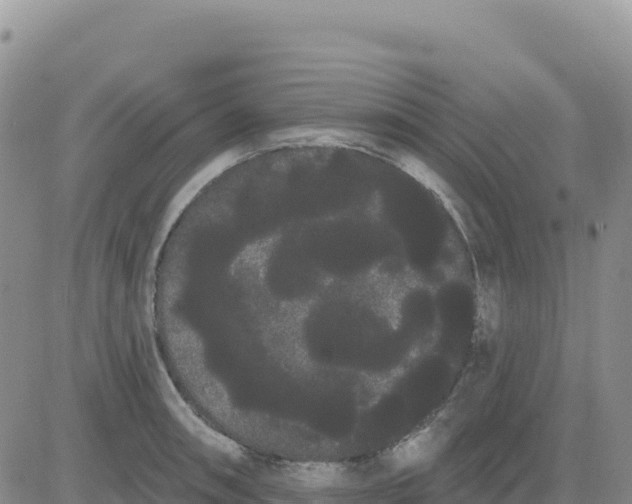 X0000080671090200612301354