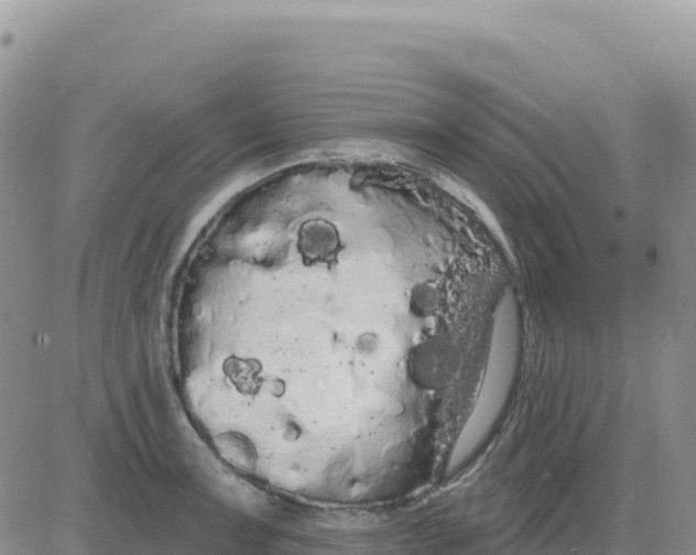 X0000080671091200612301354