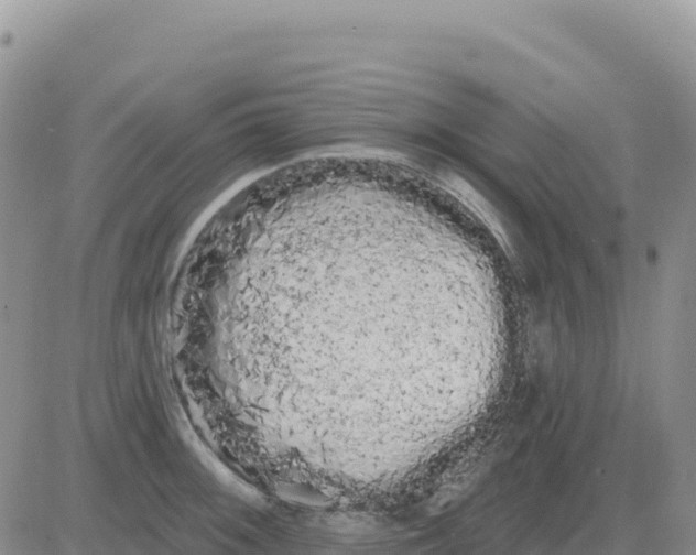 X0000080671092200612301354