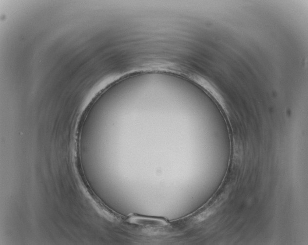 X0000080671093200612301354