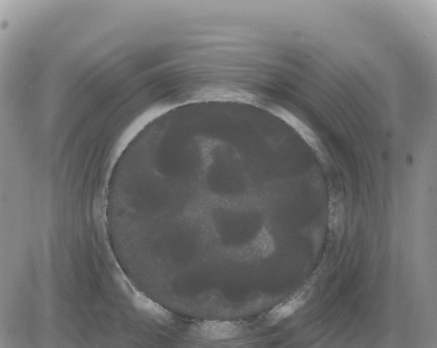 X0000080671094200612301354