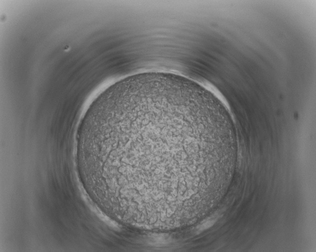 X0000080671096200612301354