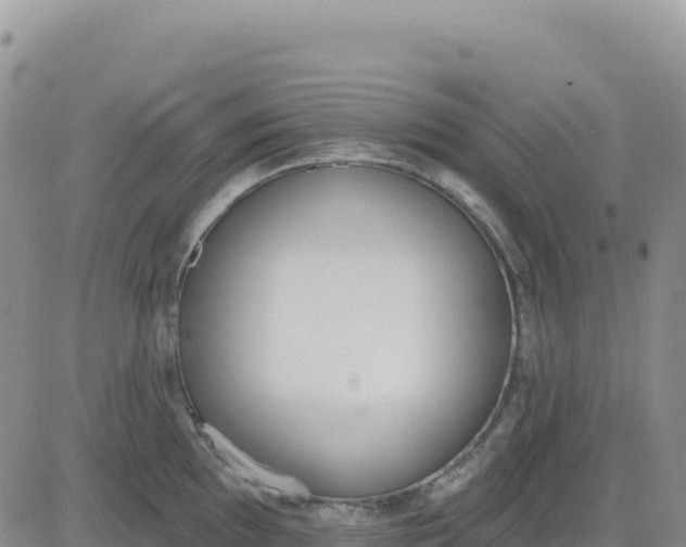 X0000080671097200612301354