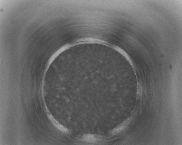 X0000080671098200612301354