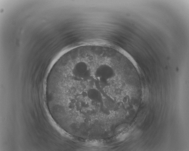 X0000080671099200612301354