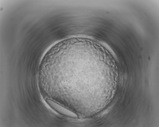 X0000080671100200612301354