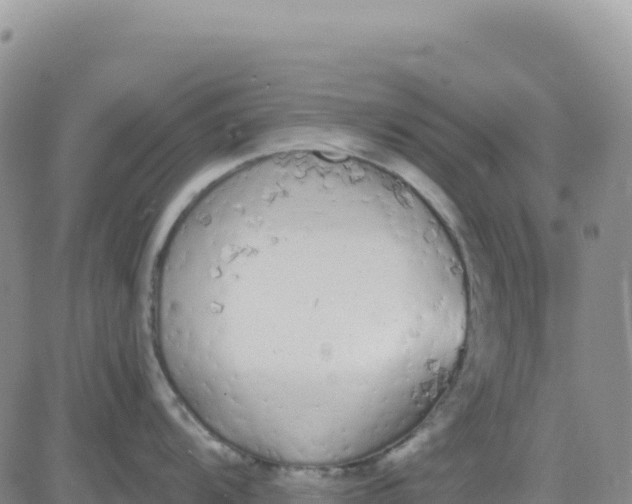 X0000080671104200612301354