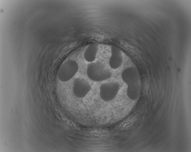 X0000080671105200612301353