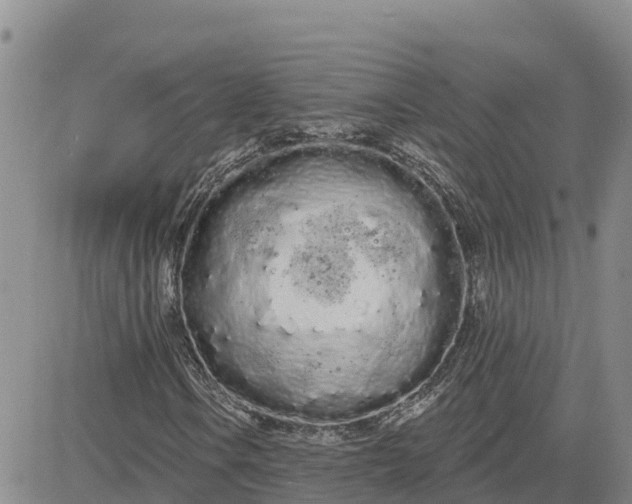 X0000080671106200612301353