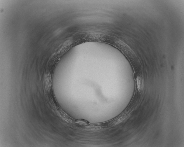 X0000080671107200612301353