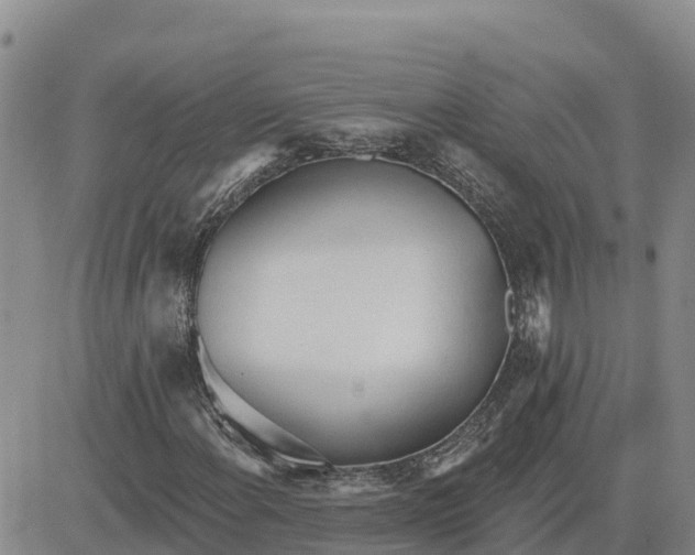 X0000080671108200612301353